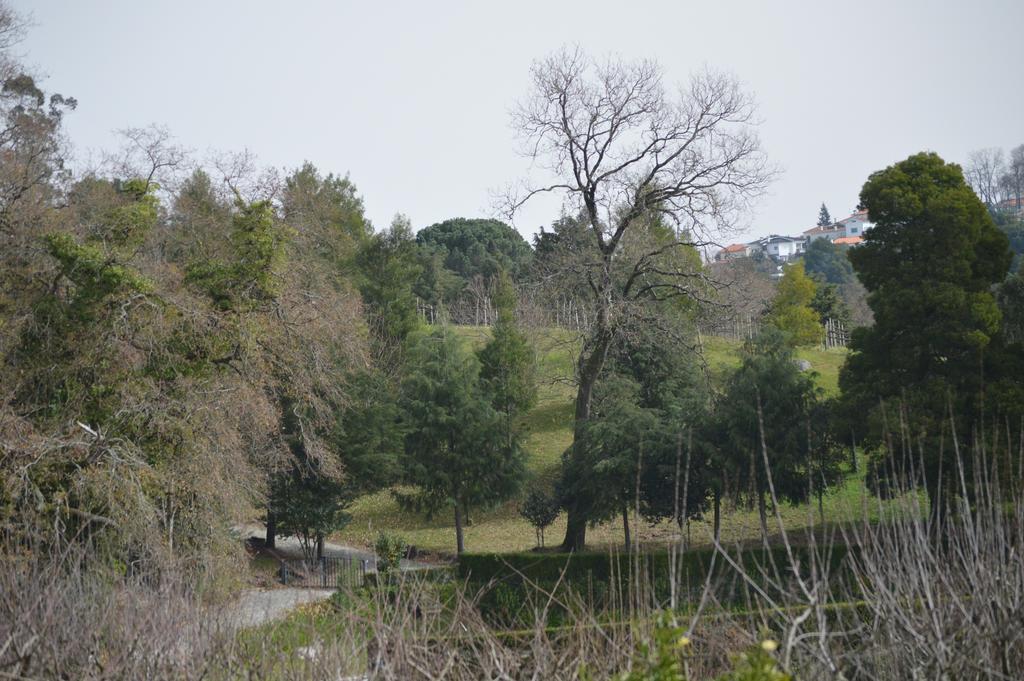 Casa Da Encosta - Quinta Da Costa Hostel Vila Nova de Famalicão Zewnętrze zdjęcie